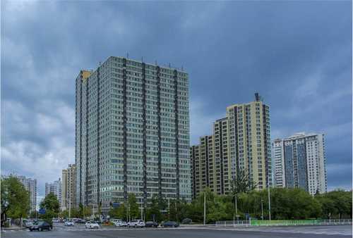 河南冷季型草坪施工